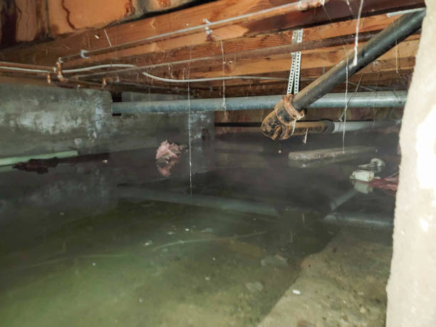 Best Sewage cleanup and water damage restoration  in Prestonsburg, KY