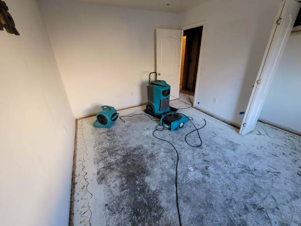 Best Water damage restoration near me  in Prestonsburg, KY