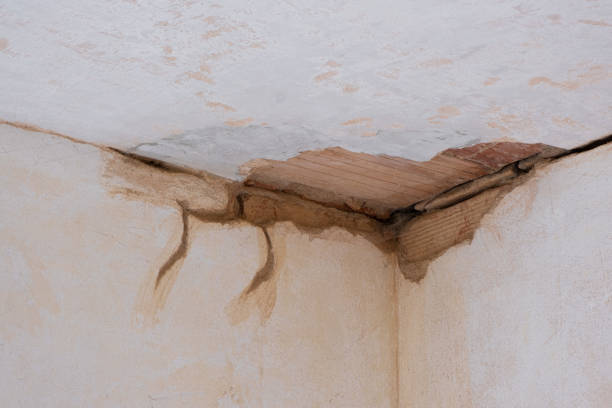 Best 24/7 water damage repair  in Prestonsburg, KY