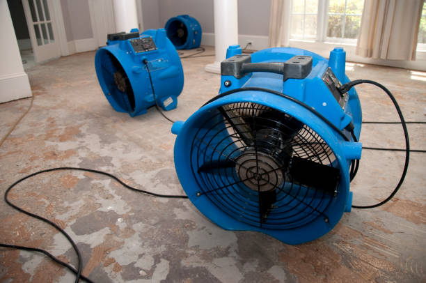 Professional Water damage restoration in KY