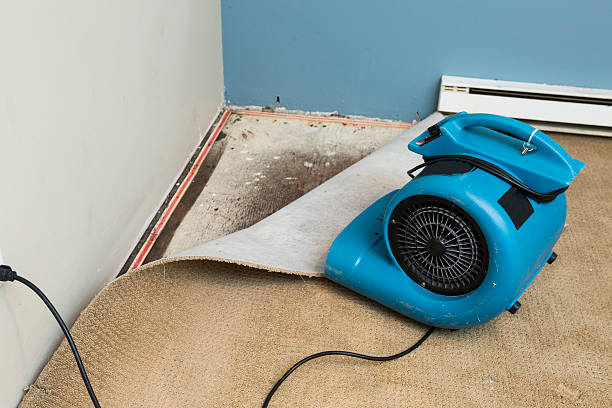 Carpet water damage restoration in KY