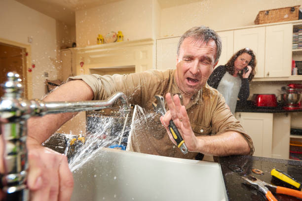 Best Flood restoration services  in Prestonsburg, KY